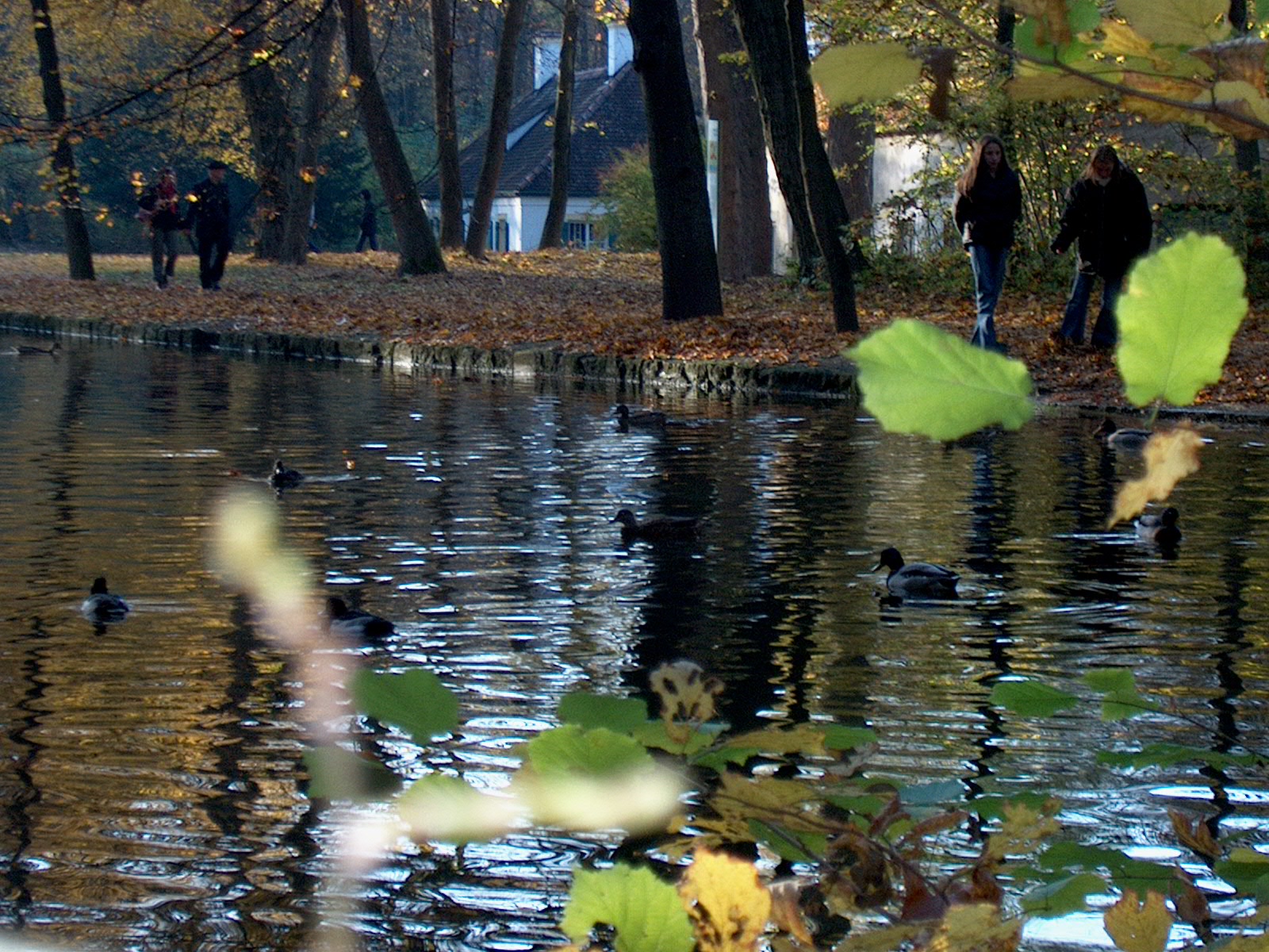 Nyphenburger Park 037 